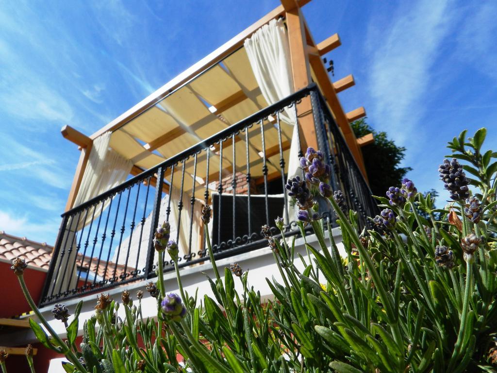 House Of Milka Villa ซาดาร์ ภายนอก รูปภาพ